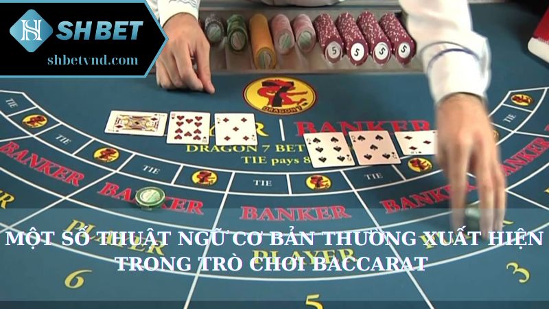 Một số thuật ngữ cơ bản thường xuất hiện trong trò chơi Baccarat 