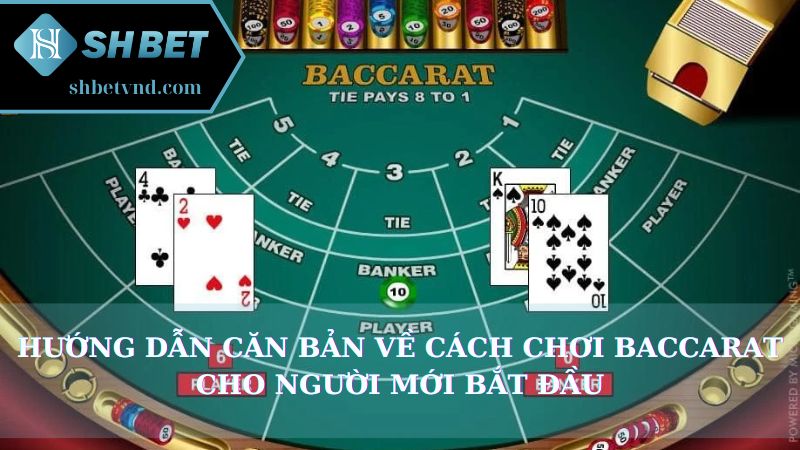 Hướng dẫn căn bản về cách chơi Baccarat cho người mới bắt đầu